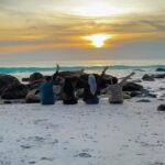 TRIP SABANG PRIVATE 3H-2M😍 Terimakasih bnyak untuk bg @tulus_s19 & kak @tina_sri180887 @febrina