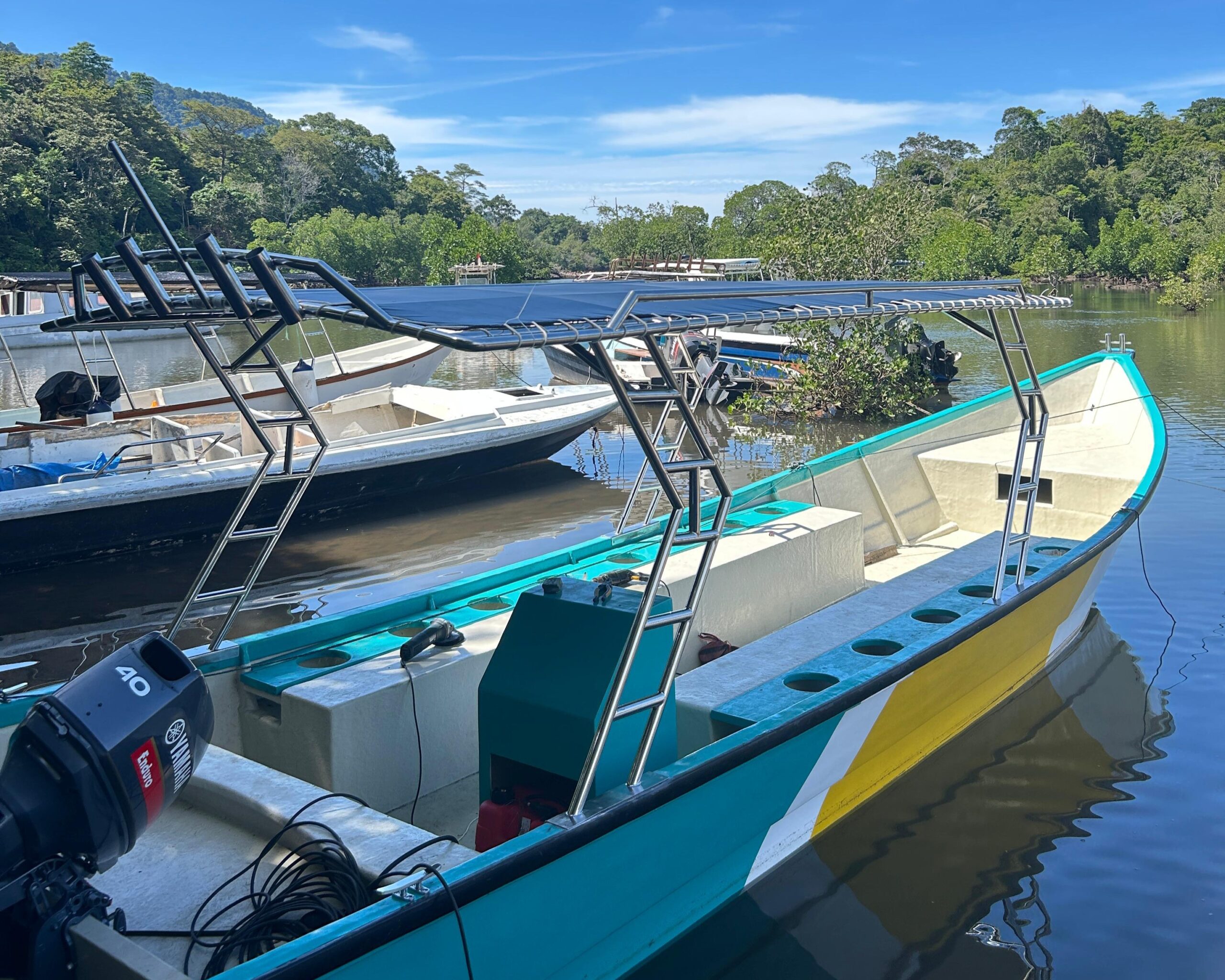 sewa boat dolphin rubiah sabang